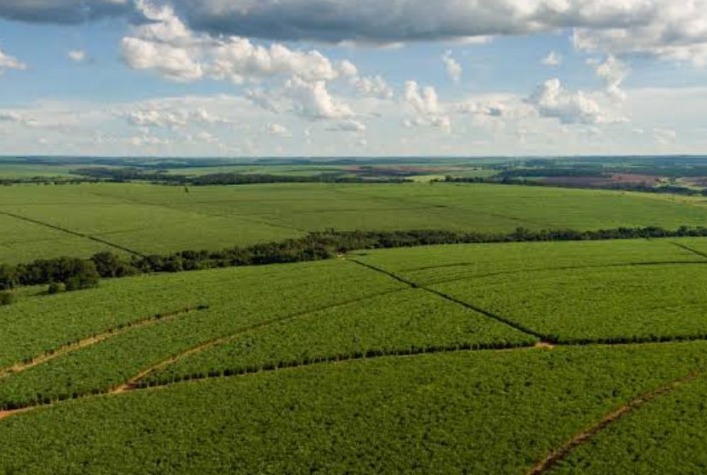 Tereos mapeia 162 mil hectares e implementa manejo de solo para cana-de-açúcar