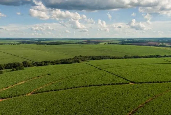 Tereos mapeia 162 mil hectares e implementa manejo de solo para cana-de-açúcar