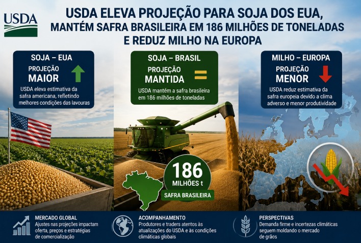USDA eleva produção de soja nos EUA e mantém Brasil em 186 milhões de toneladas