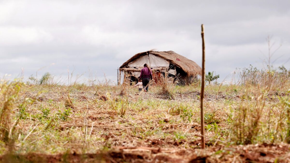 Assassinatos no campo caem, mas conflitos agrários aumentam no Brasil