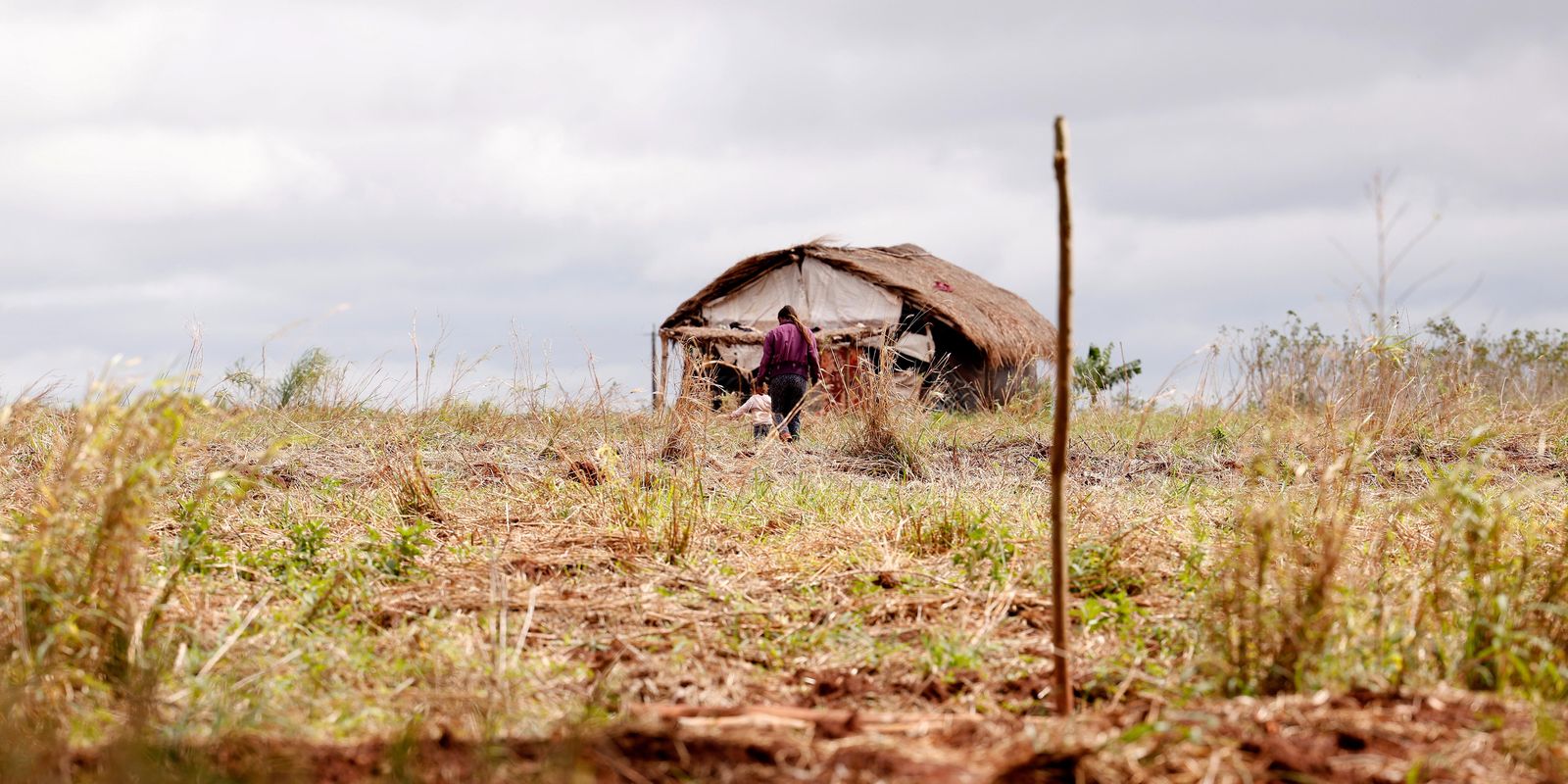 Assassinatos no campo caem, mas conflitos agrários aumentam no Brasil