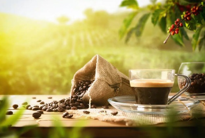 Café tem preços em queda com aumento da oferta global, mas El Niño limita perdas