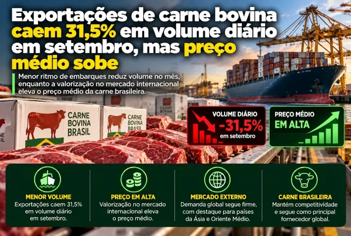Exportações de carne bovina caem 31,5% em setembro, mas preço médio sobe 12,1%