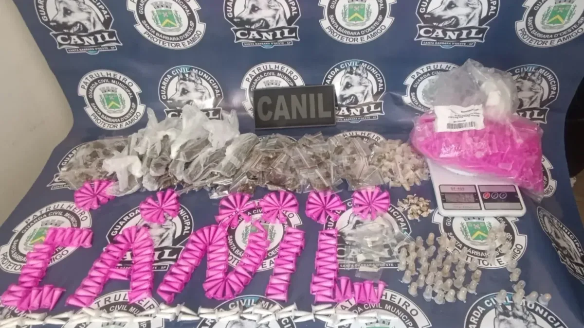 GCM apreende 710 porções de drogas em área verde ao lado de escola em SP