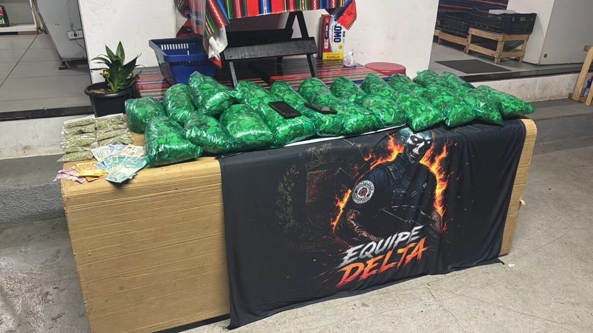 Guarda Municipal apreende folhas de coca e detém homem em Americana (SP)
