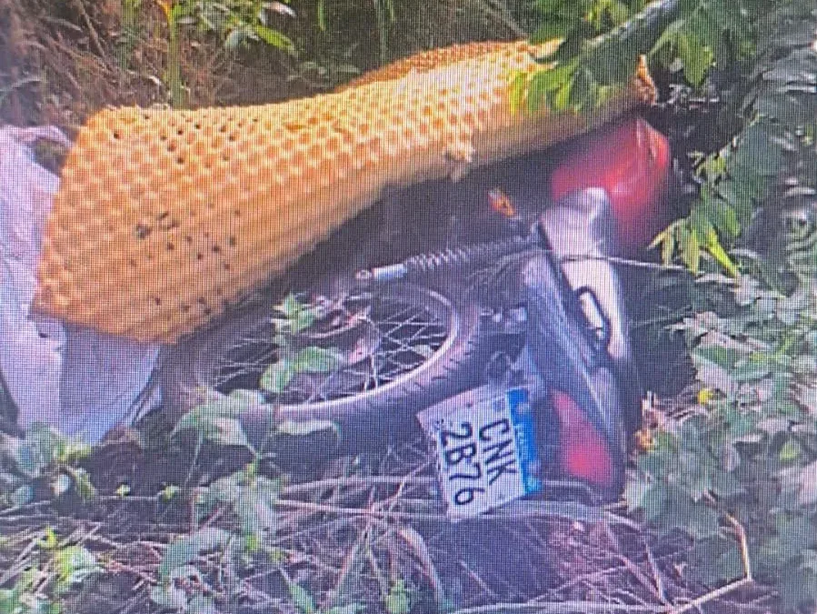 Imagem da matéria: GAMA encontra motocicleta furtada na Avenida São Jerônimo em Americana