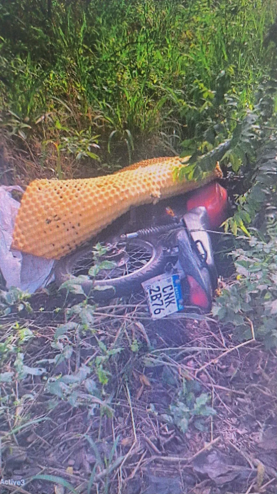 Imagem da matéria: GAMA encontra motocicleta furtada na Avenida São Jerônimo em Americana