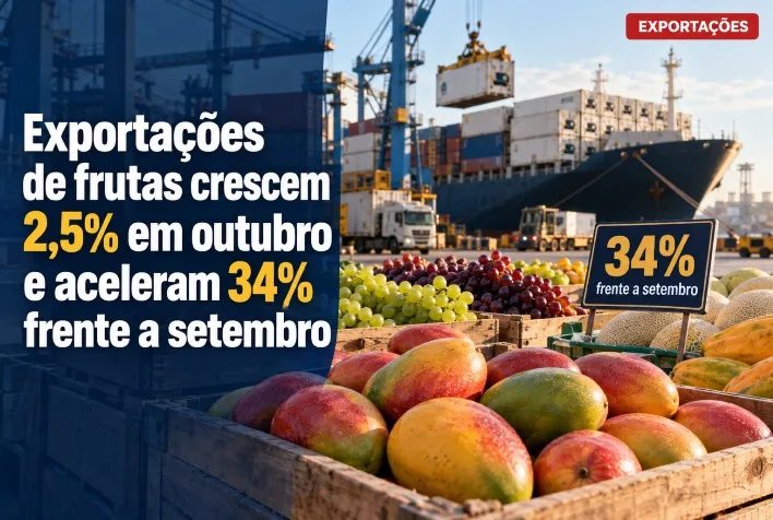 Exportações de frutas crescem 2,5% em outubro e avançam 34% em relação a setembro
