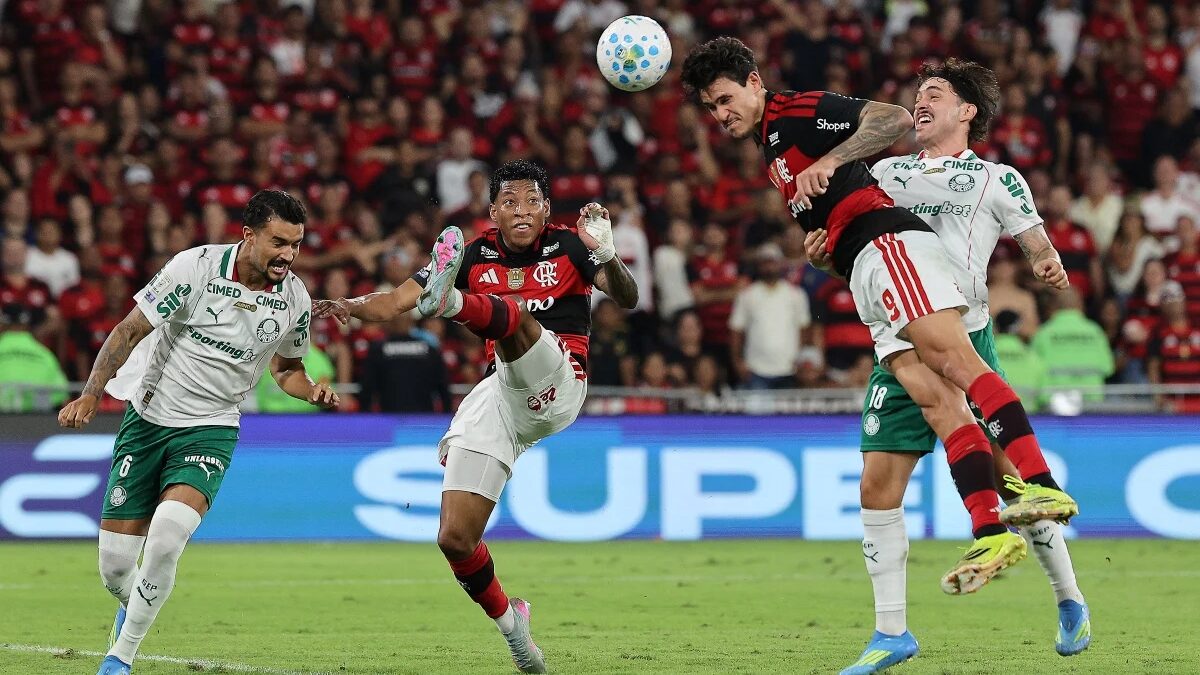 Flamengo e Palmeiras disputam título do Brasileirão em finais emocionantes