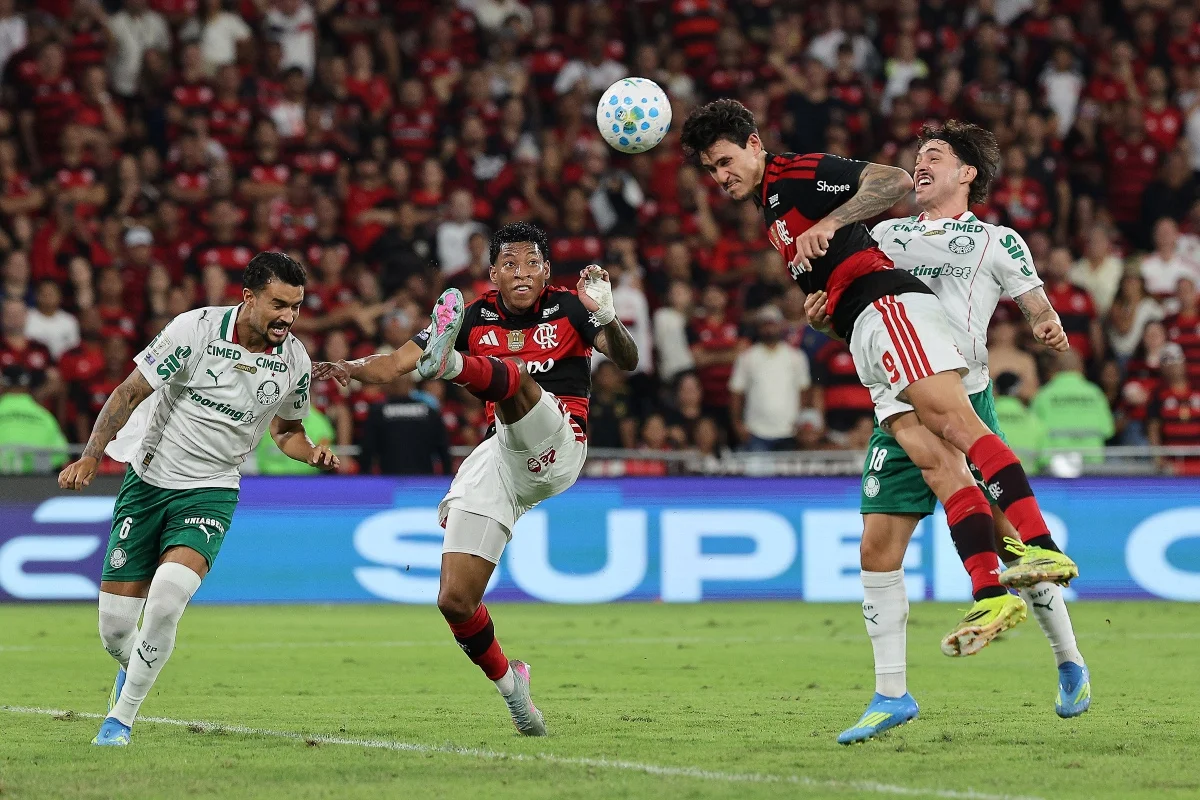 Flamengo e Palmeiras disputam título do Brasileirão em finais emocionantes