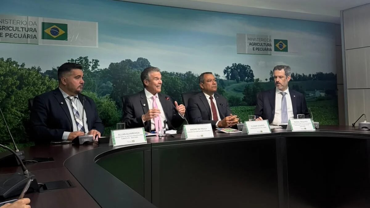 Governo confirma foco de doença de Newcastle em granja de perus em SC