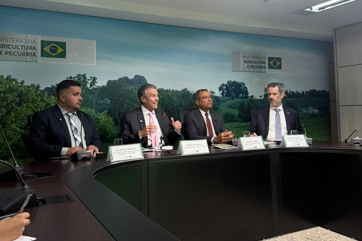 Governo confirma foco de doença de Newcastle em granja de perus em SC