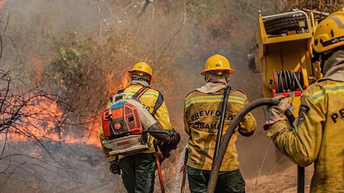 Governo federal mobiliza ajuda após Amazonas decretar emergência por queimadas