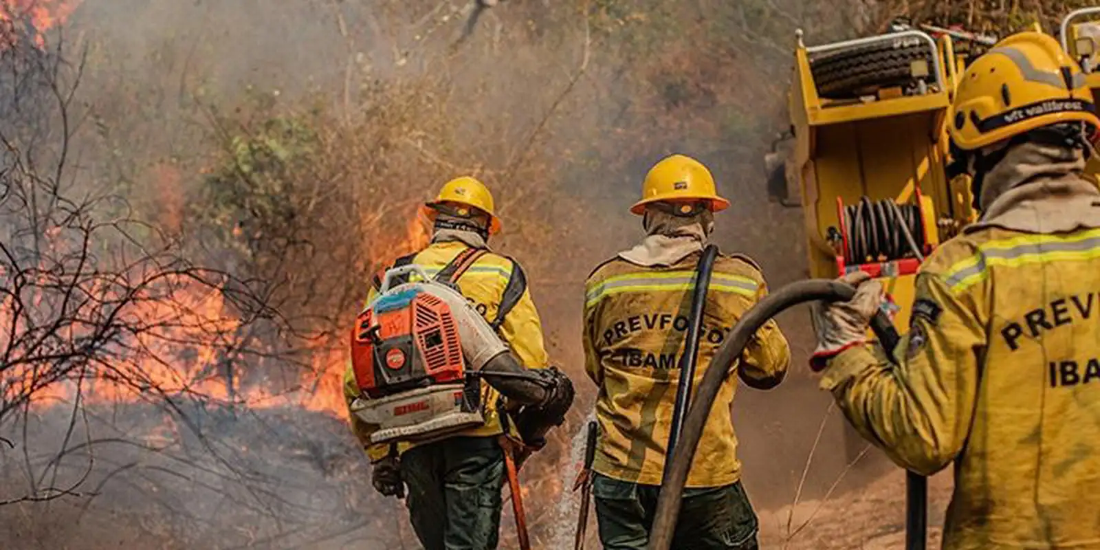 Governo federal mobiliza ajuda após Amazonas decretar emergência por queimadas