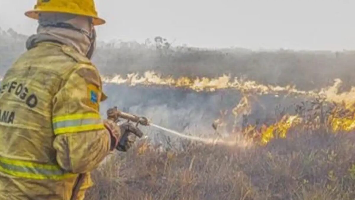 Governo investiga ação humana por trás dos incêndios no Amazonas