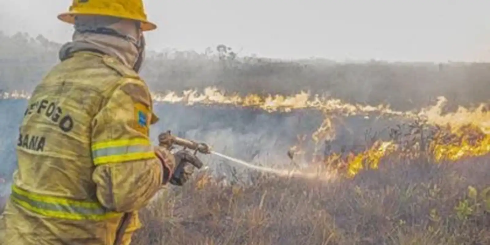 Governo investiga ação humana por trás dos incêndios no Amazonas