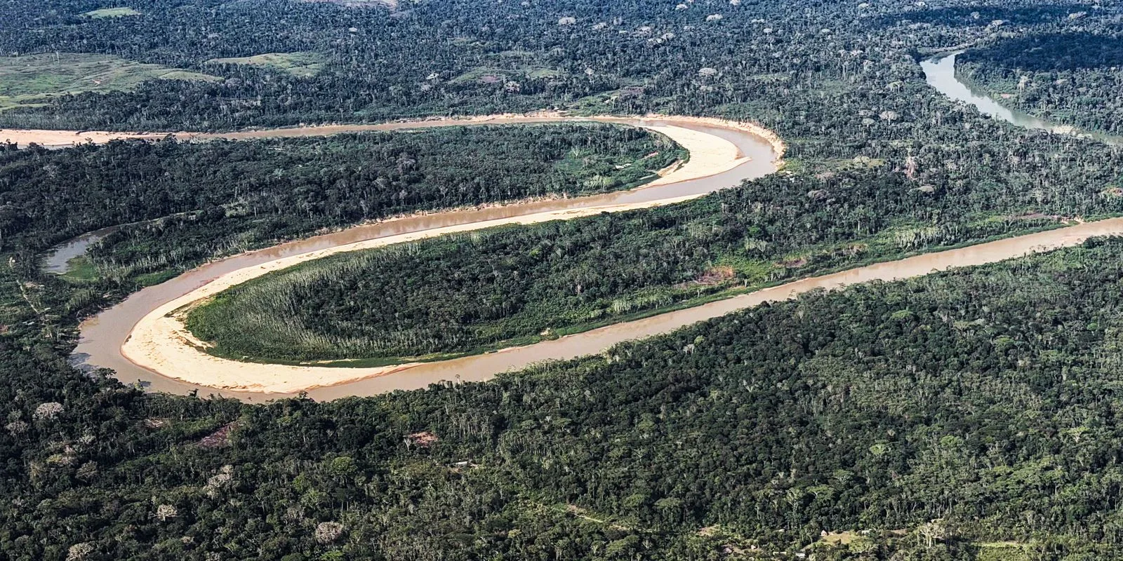 Holanda investe US$ 500 milhões no Fundo Florestas Tropicais para Sempre do Brasil