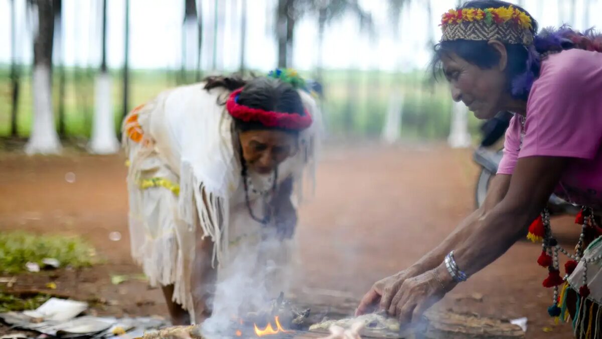Indígenas Guarani Kaiowá em MS denunciam violência e ameaças após eleições