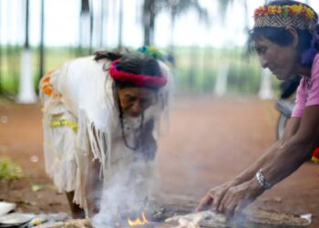 Indígenas Guarani Kaiowá em MS denunciam violência e ameaças após eleições