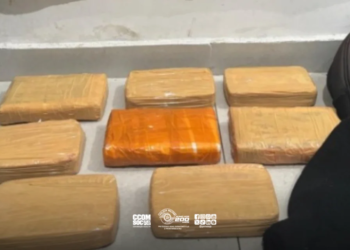 PM apreende 8,65 kg de cocaína em casa-bomba em Paraisópolis, SP