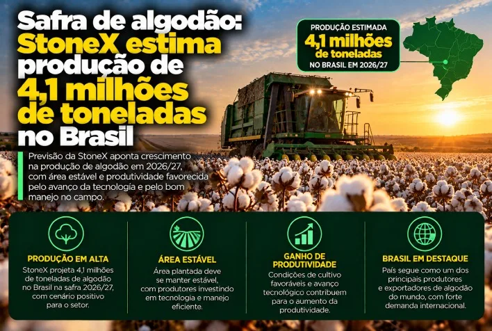 StoneX projeta produção de 4,1 milhões de toneladas de algodão no Brasil em 2025/26